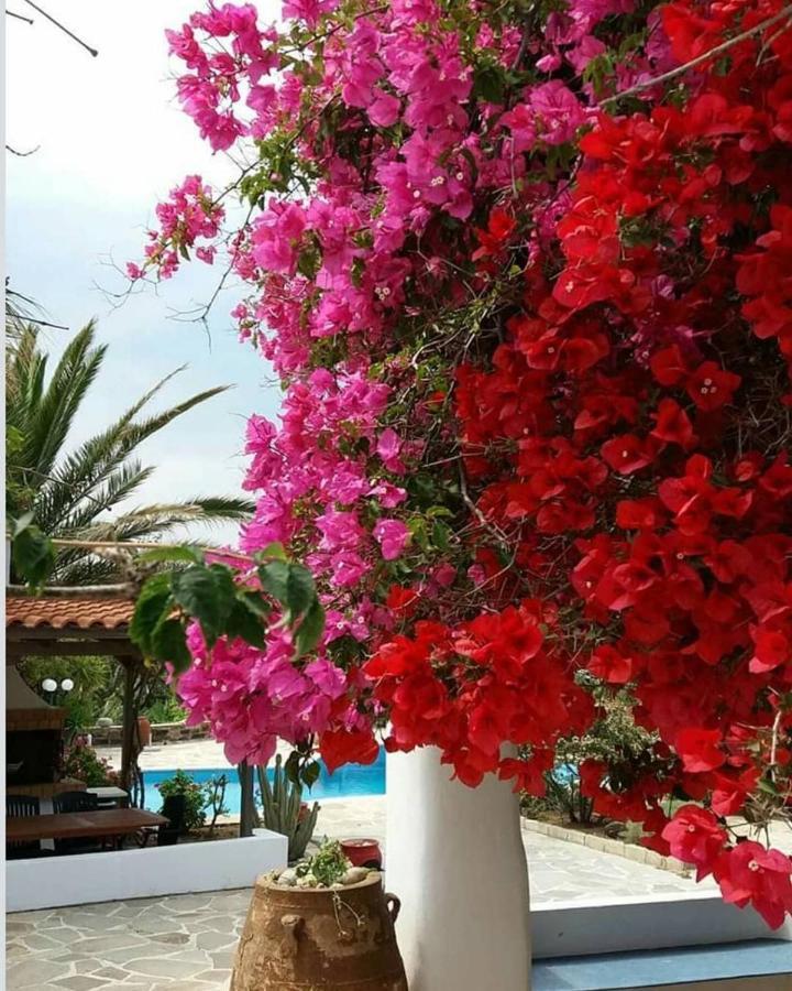 Villa Pari Manda อาโยส โพรโกปิออส ภายนอก รูปภาพ